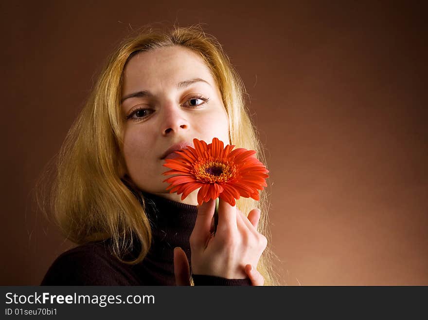 A beautiful womanin brown jumper posing with a red flower on a dark background. A beautiful womanin brown jumper posing with a red flower on a dark background