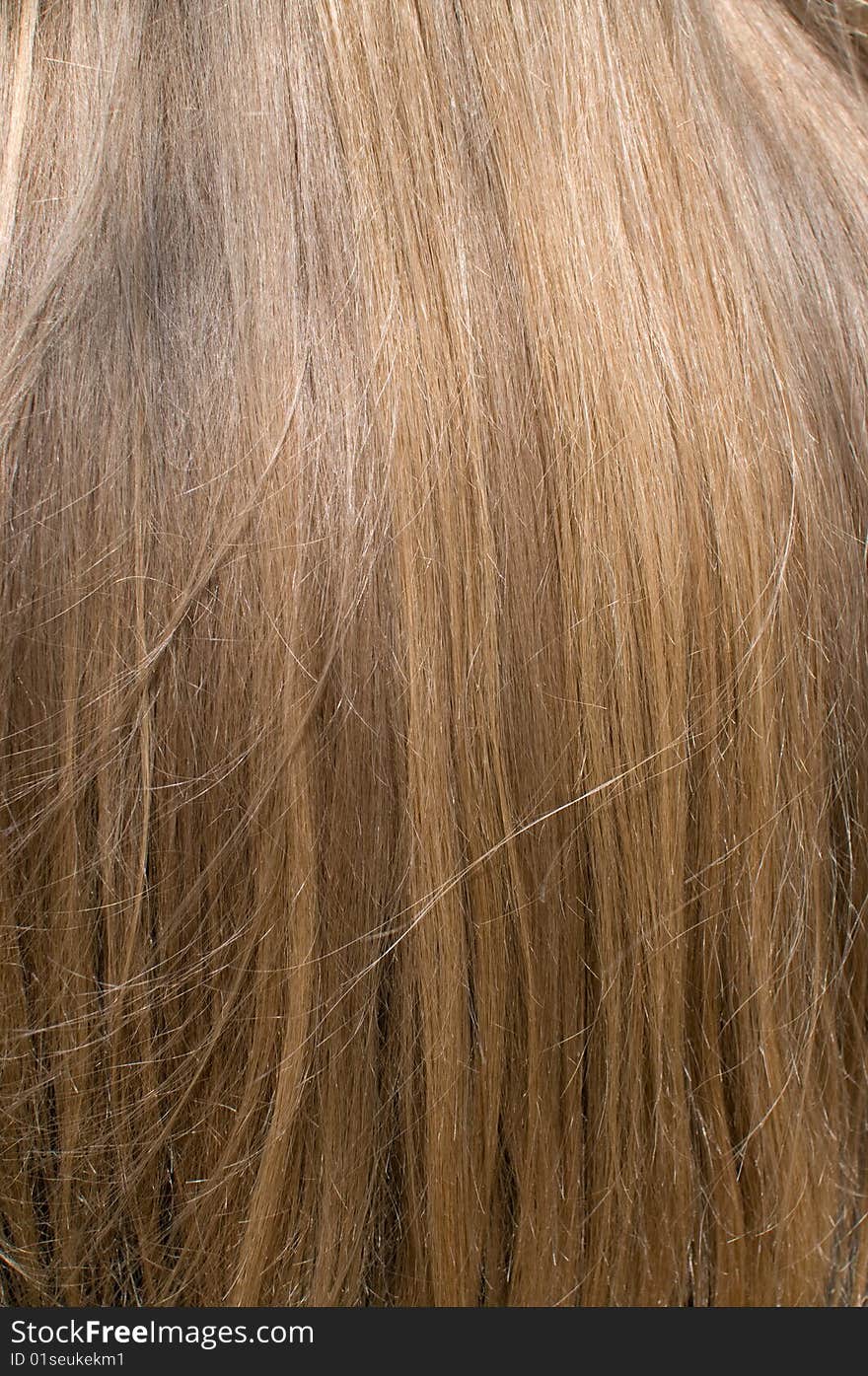 Female hair.