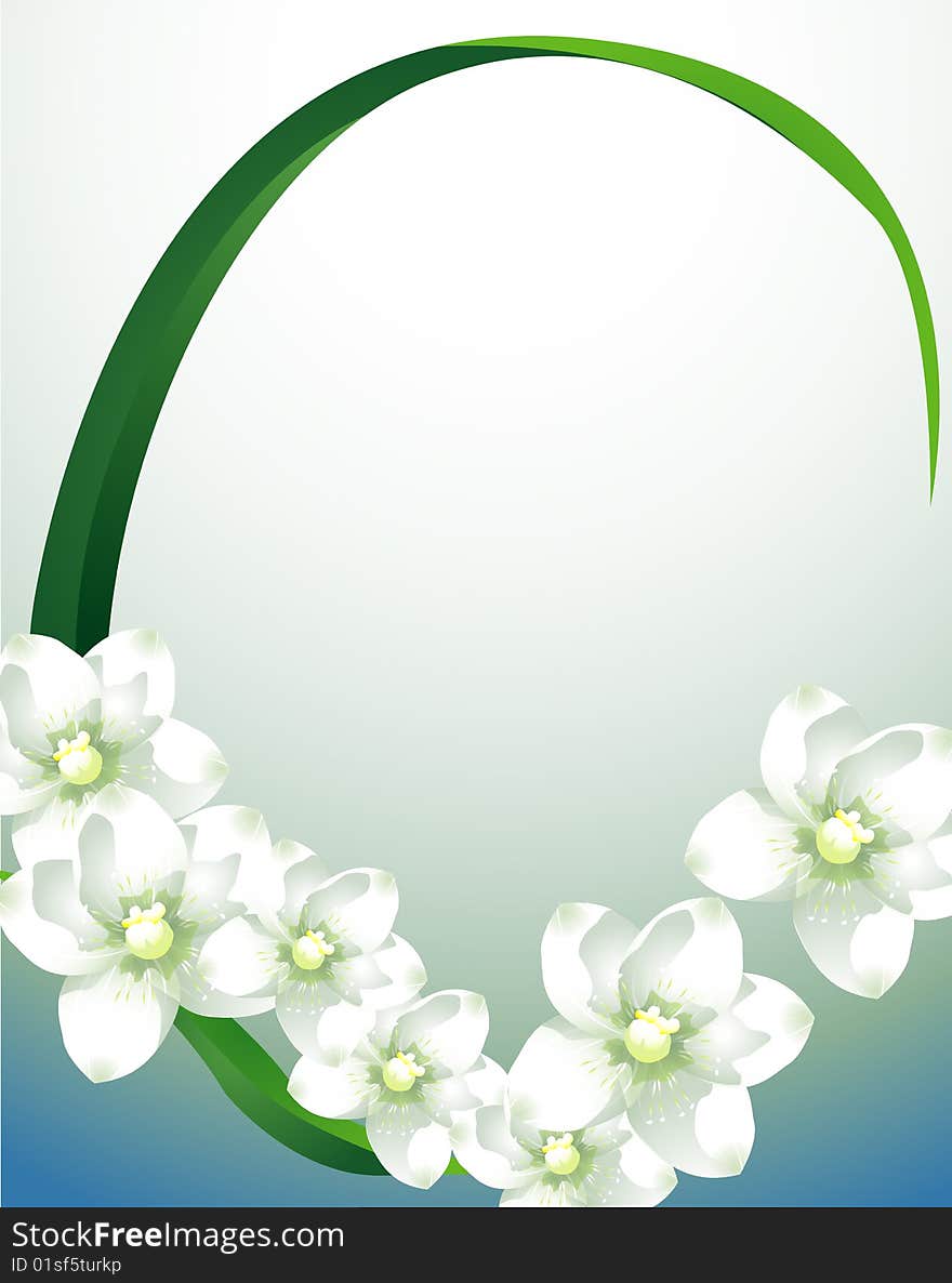 White orchid with green leaf on the blue background. White orchid with green leaf on the blue background