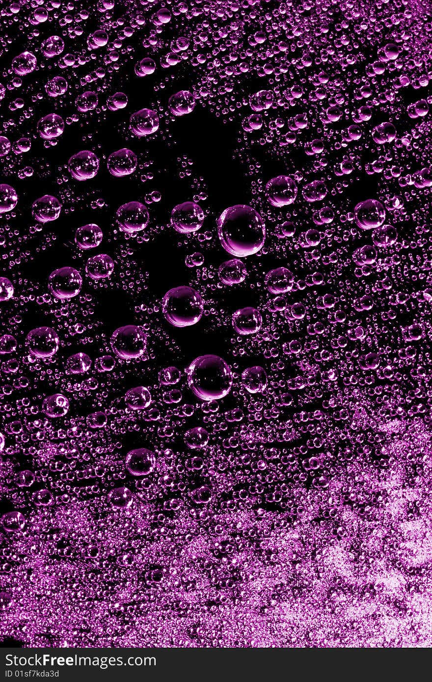 Pink water drops against black background