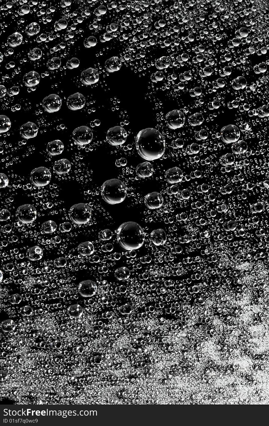 Macro Of  Water Drops