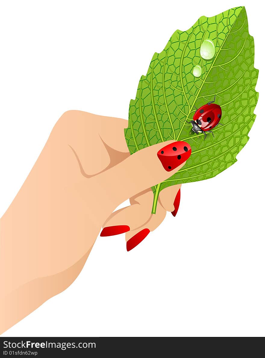 Vector Female S Hand With Leaf