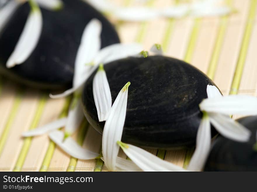 An image of chamomile petals and stones for massage. An image of chamomile petals and stones for massage