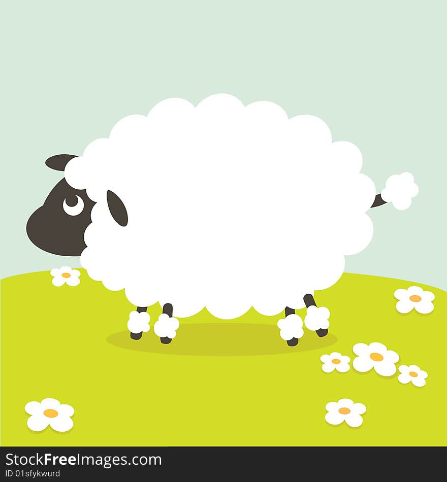 Sheep