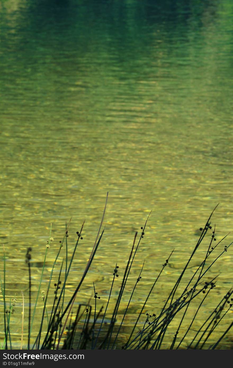 A beautiful waterful near tevira in portugal with blue-green water. A beautiful waterful near tevira in portugal with blue-green water