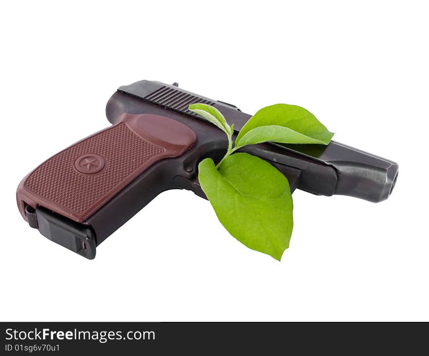 Pistol and growing plant isolated on white