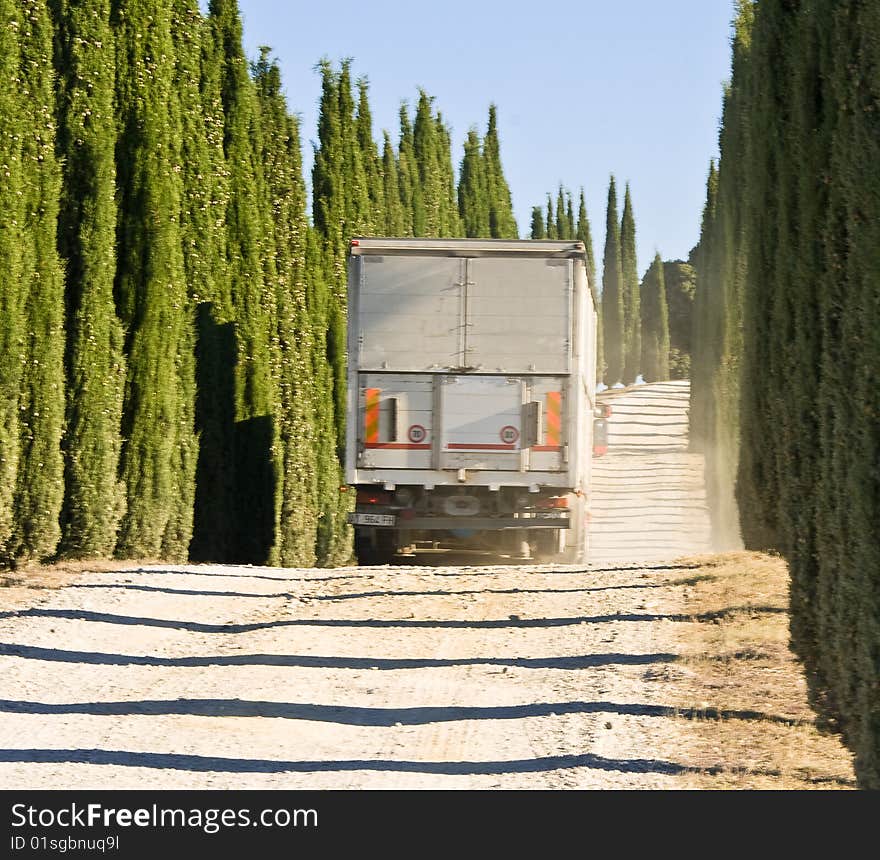 Cypresses road and the truck