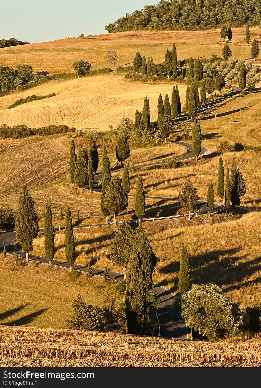 Road winding up among hills in Toscana