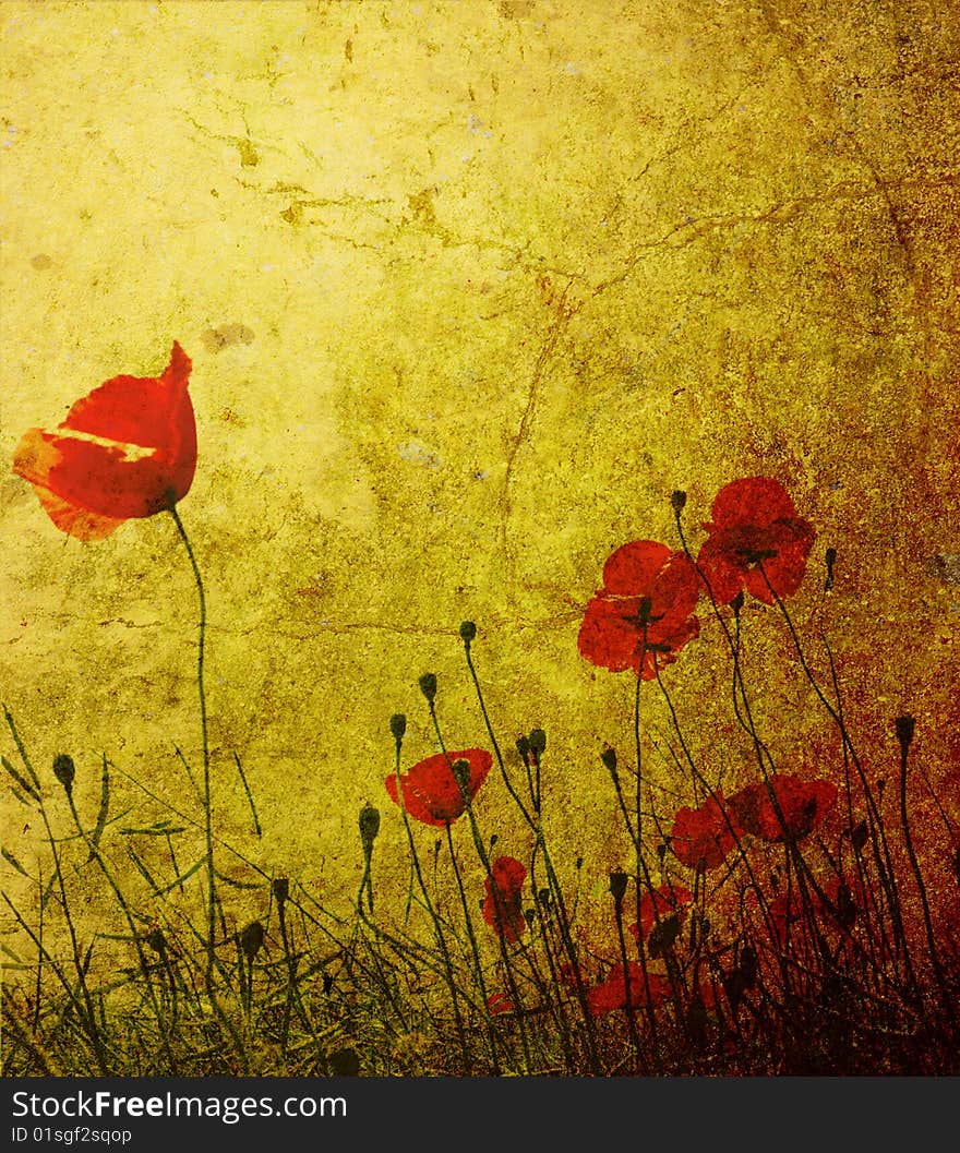 Photo of a poppies pasted on a grunge background. Photo of a poppies pasted on a grunge background