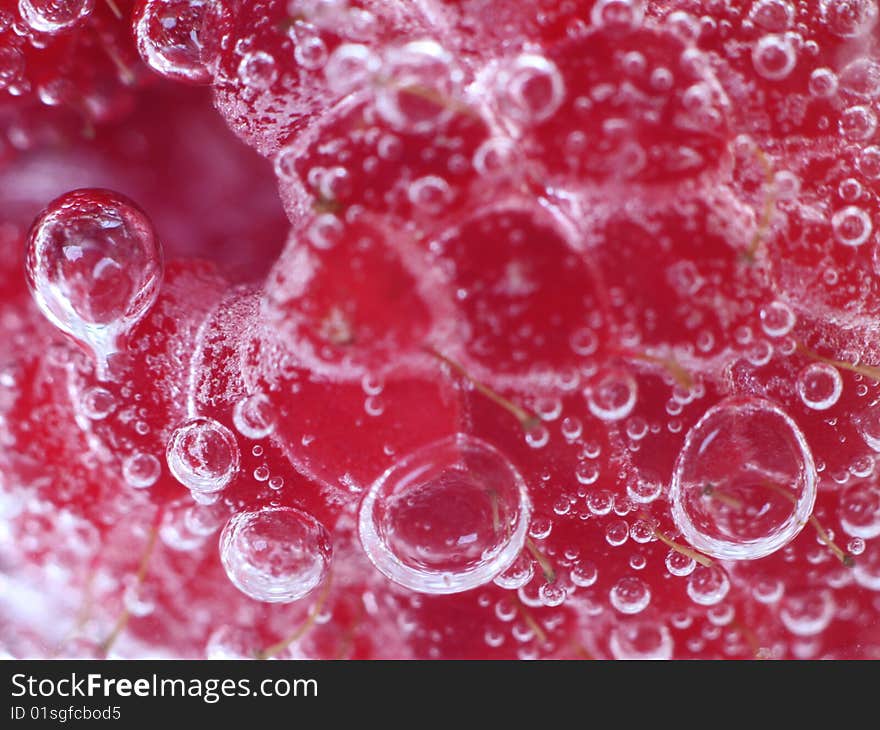 Raspberry (Rubus idaeus)