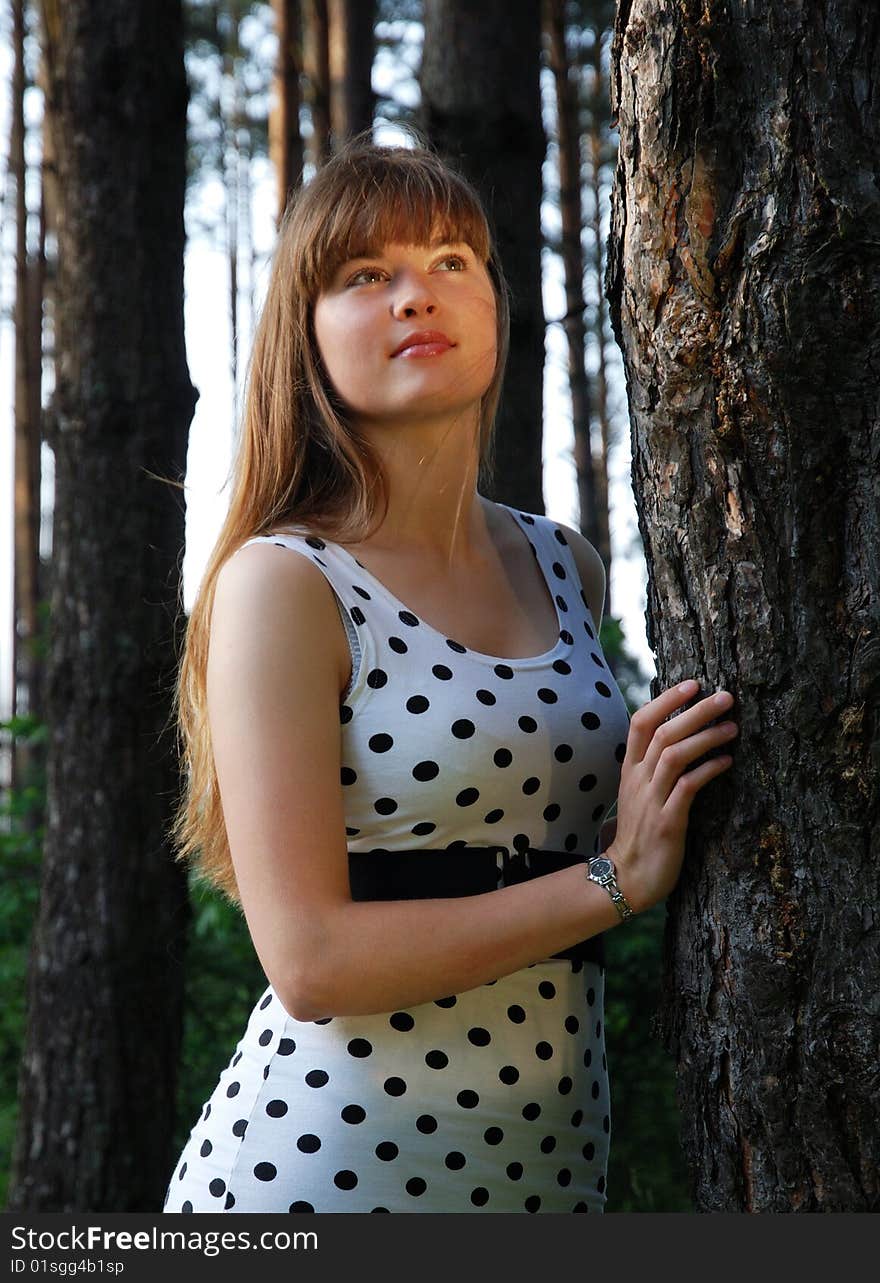 The girl's portrait by the tree in sunset light. The girl's portrait by the tree in sunset light.