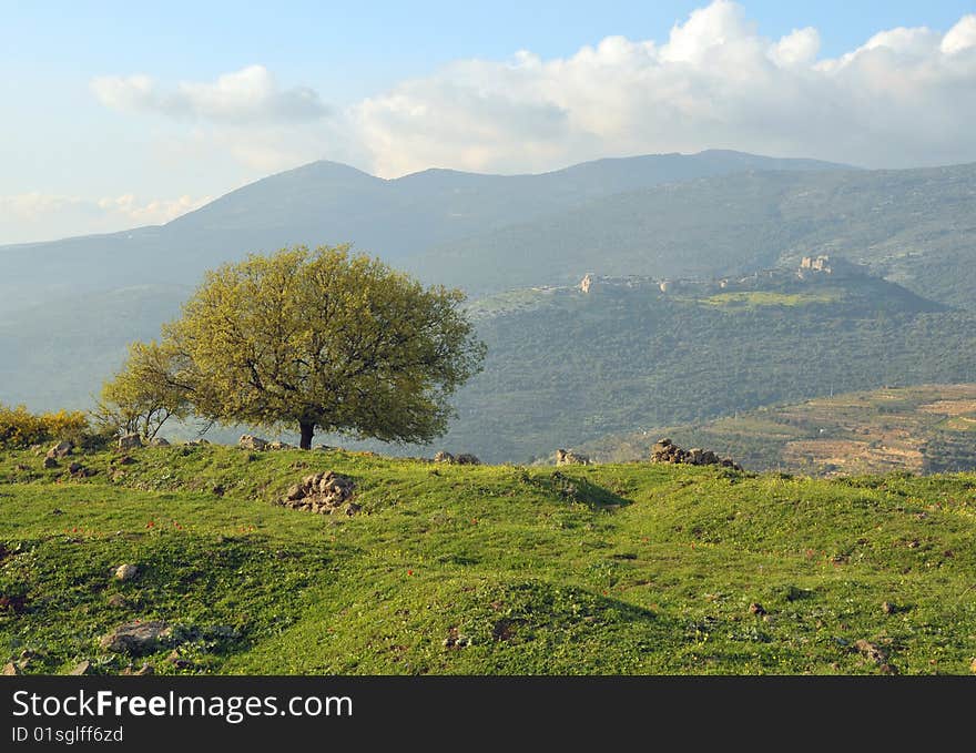 Lone tree on background of distant hills. Lone tree on background of distant hills.