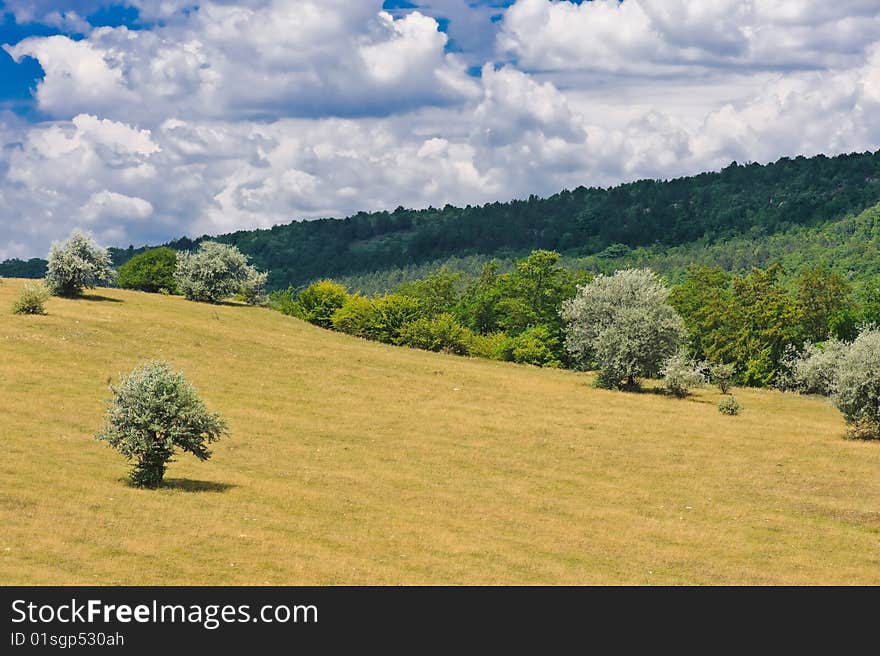 Rural landscape with blue sky and clouds on it