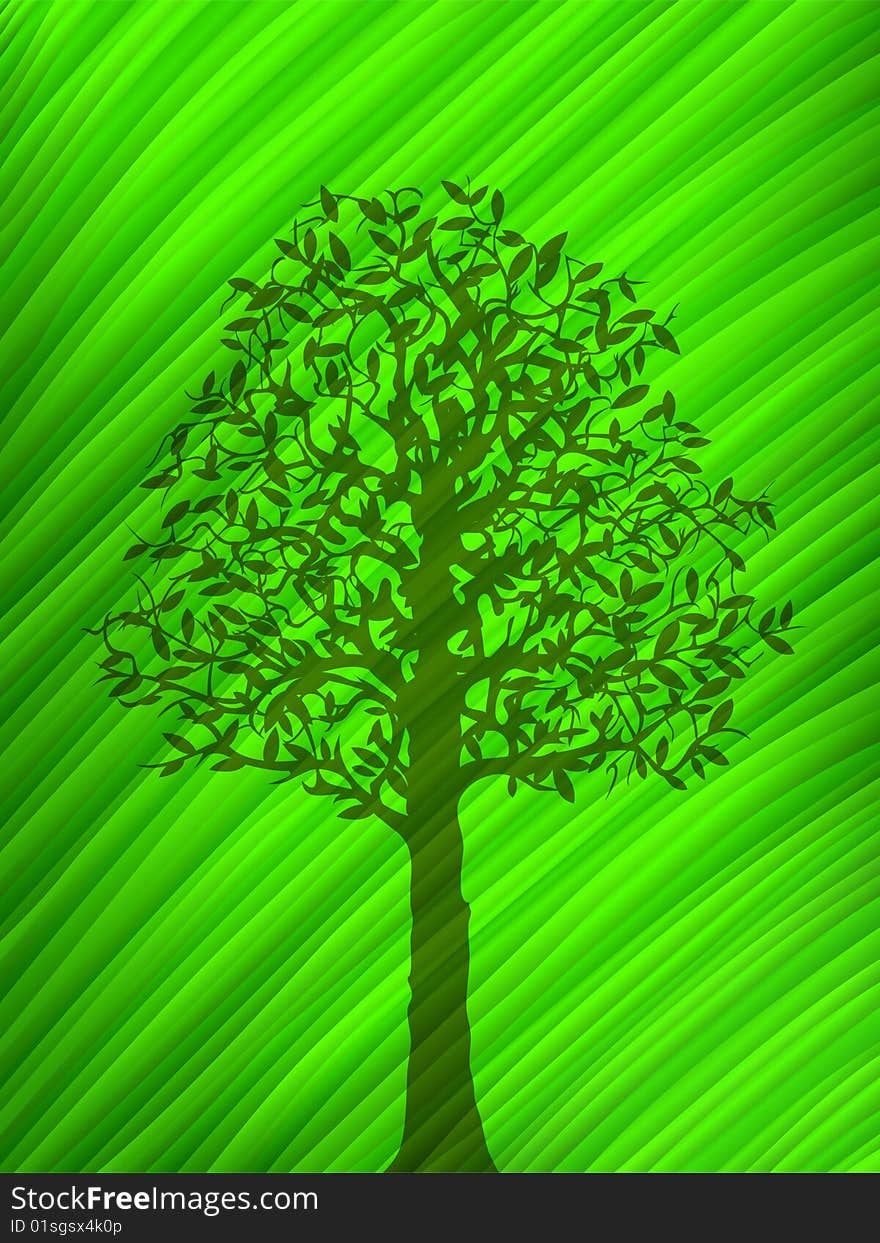 Green tree shadow over a big leaf (vector image)