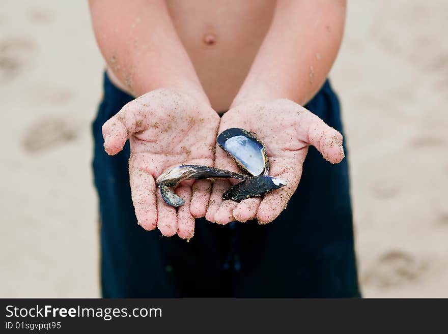 Boy holding shells in hands