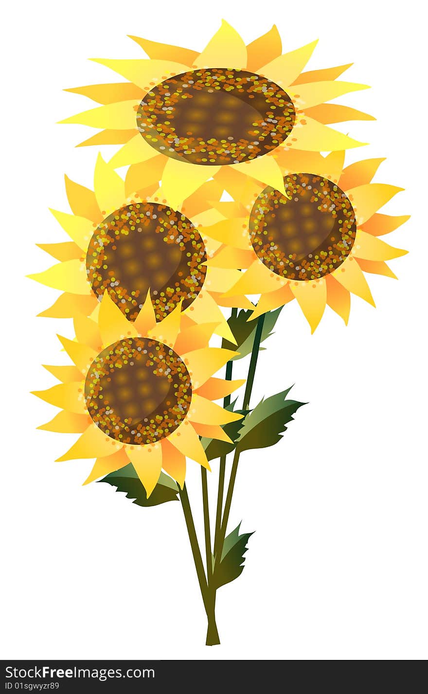 Sunflower