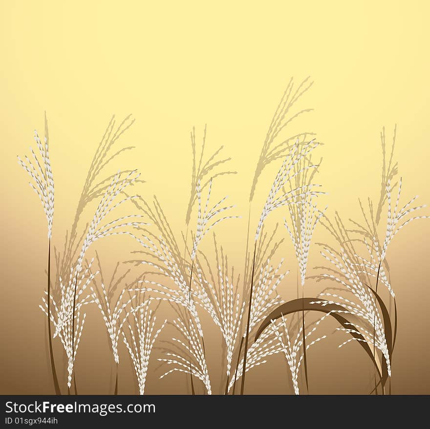 Stem reed on the yellow background