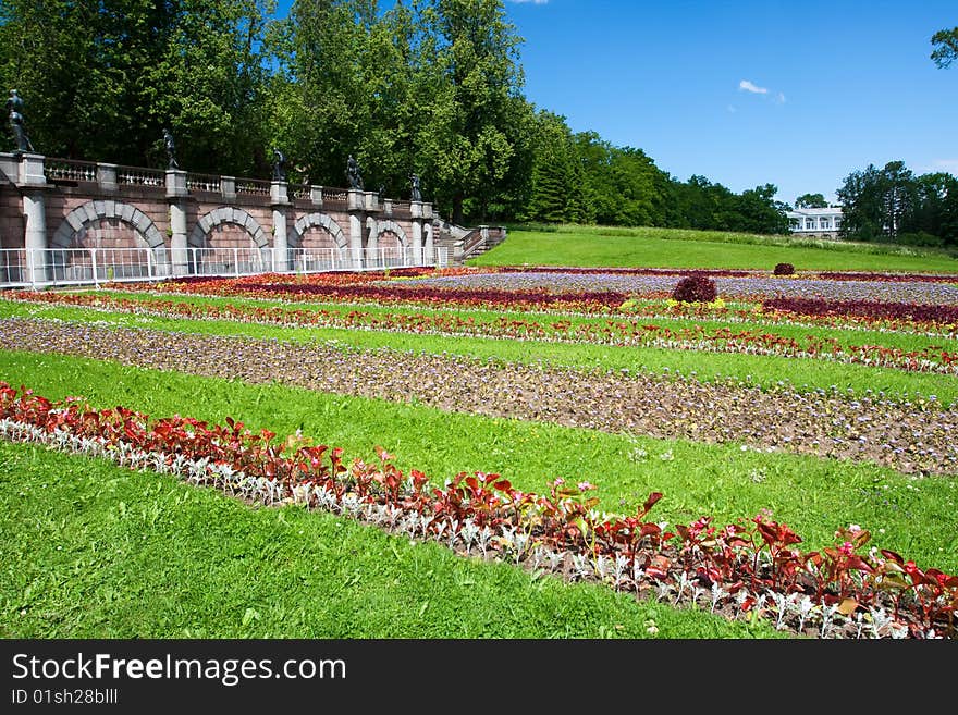 Flower-bed in a summer garden