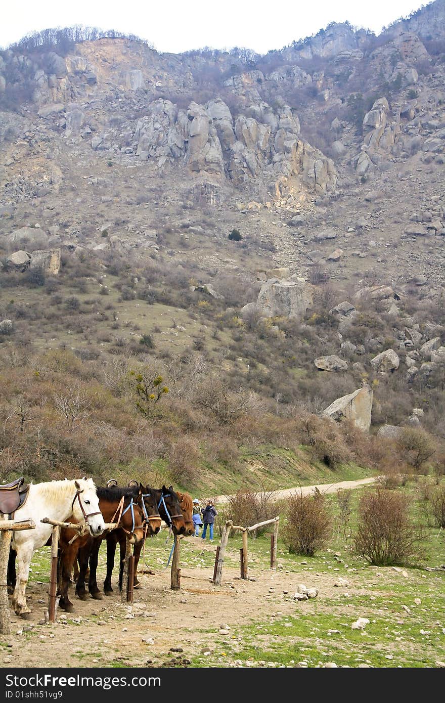 The horses are standing tied to the wooden fence high in the mountains. The horses are standing tied to the wooden fence high in the mountains