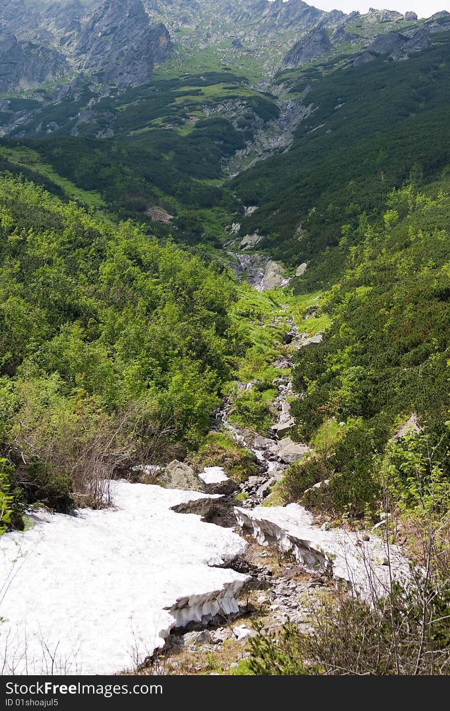 Neighbourhoods of Morskie Oko in The Tatra National Park. Neighbourhoods of Morskie Oko in The Tatra National Park.