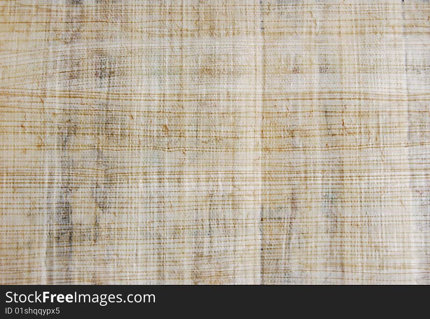 The surface of the real papyrus. The surface of the real papyrus