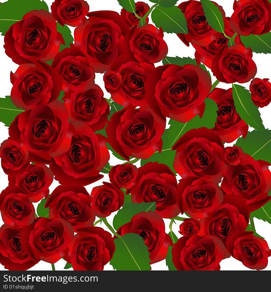 Valentine background  pattern with rose d