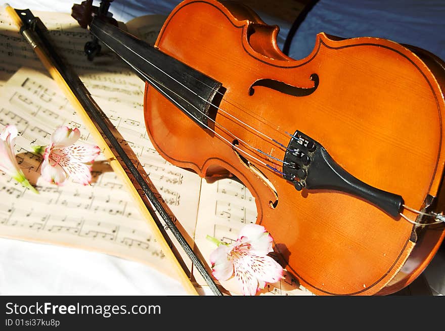 Violin on music sheet and some flowers