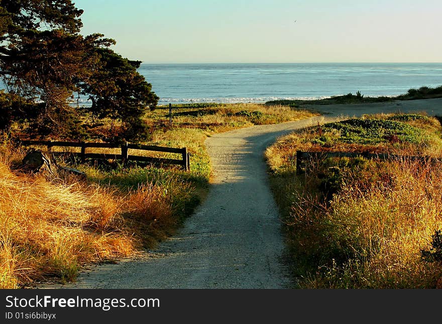 A beautiful walking path near the pacific ocean in California. A beautiful walking path near the pacific ocean in California