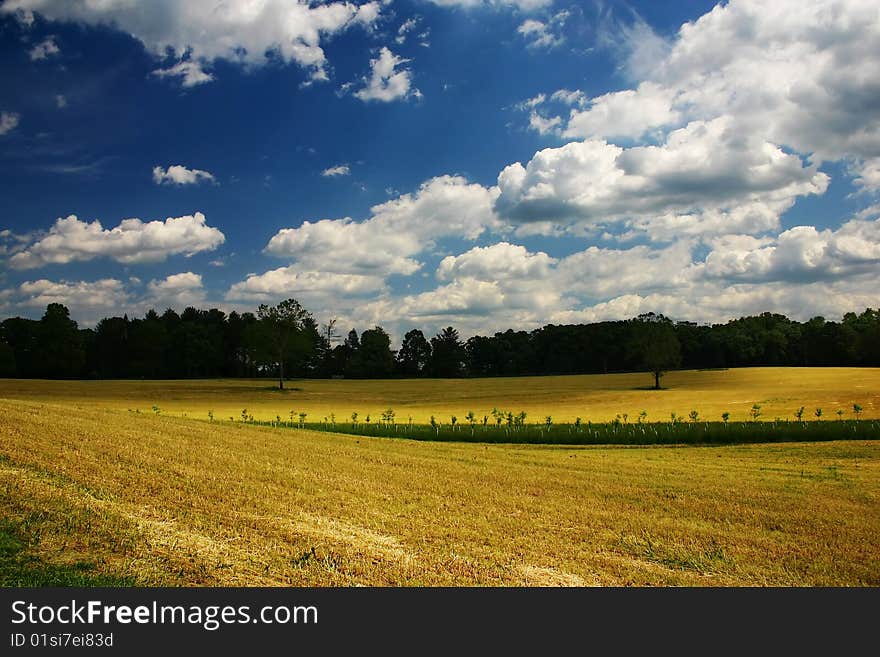 Clouds and fields