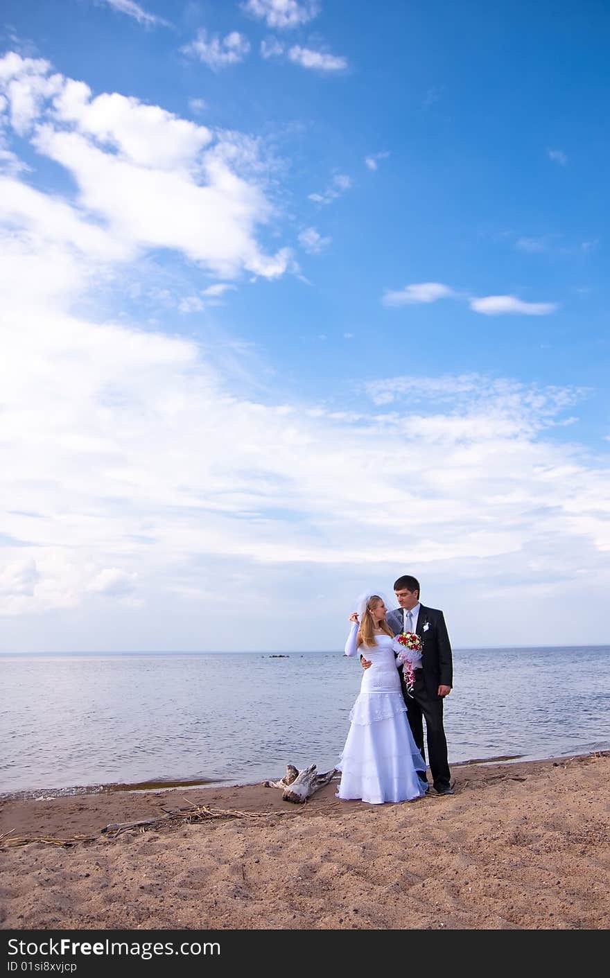 The groom and the bride on seacoast