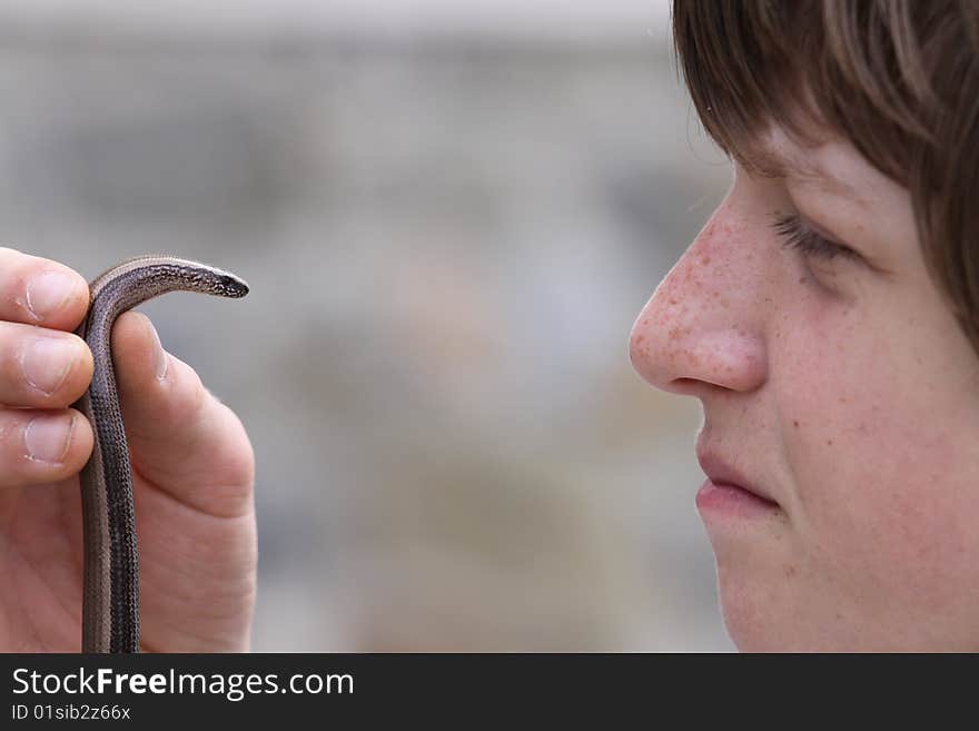 Boy and blindworm fragile (Anguis fragilis). Boy and blindworm fragile (Anguis fragilis)