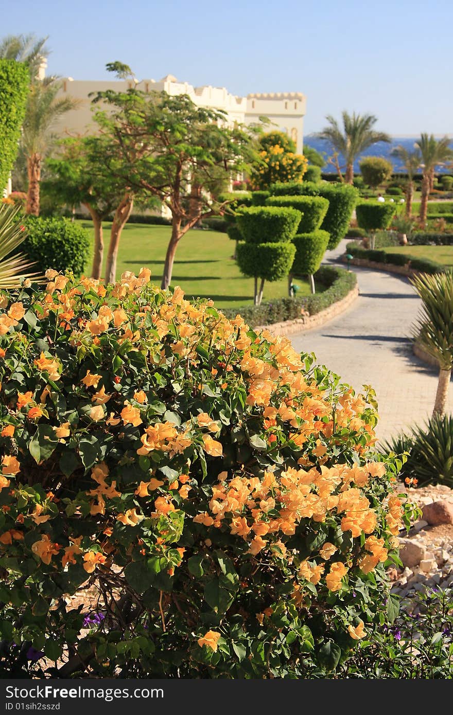 Flower garden in a Red Sea resort - Egypt