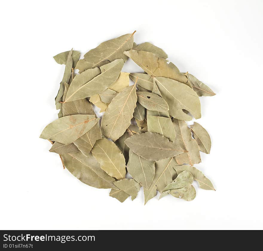 Dried bay leaves