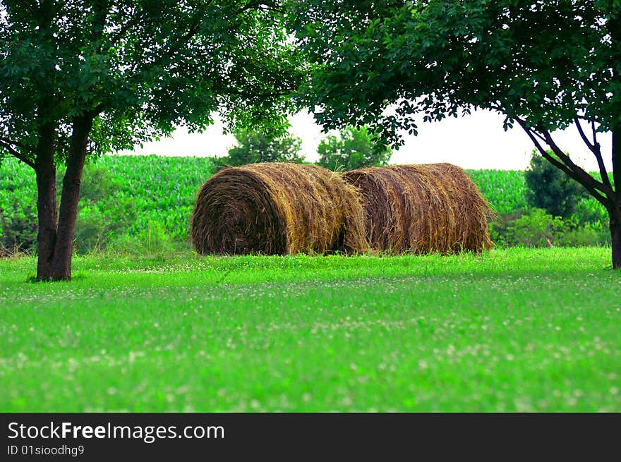 Two Large Round Hay Bales in Field