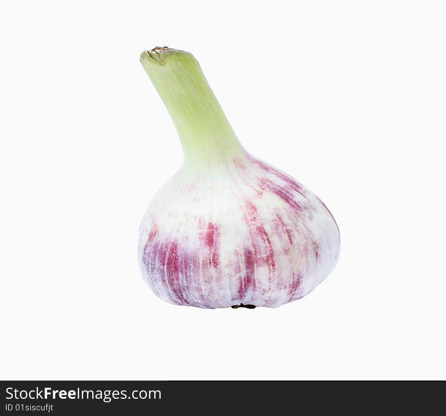 Garlic