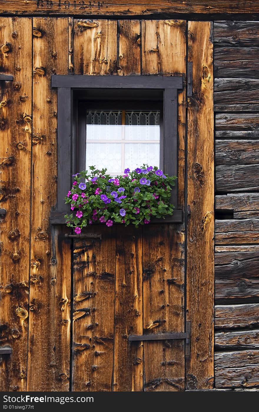 Window with potted flowers and wooden wall