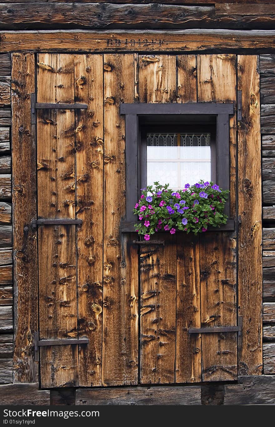 Window with potted flowers and wooden wall