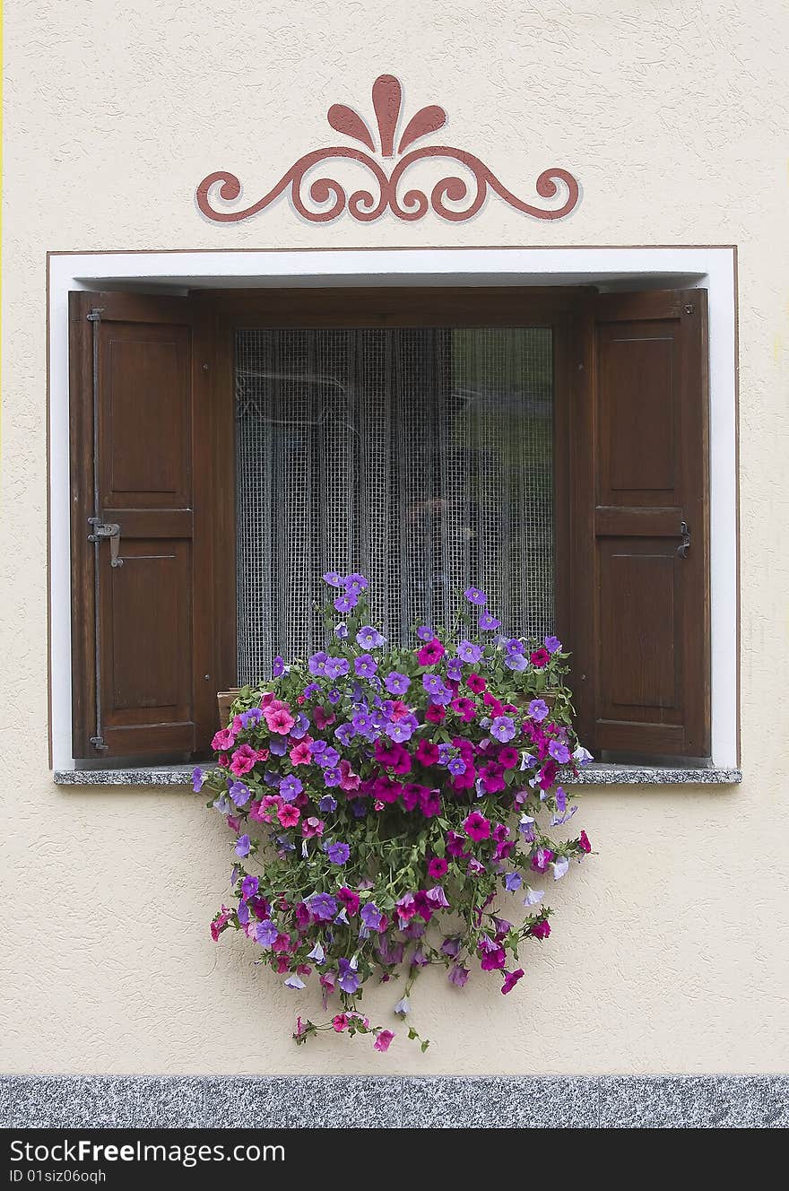 Window with potted flowers and blue wall