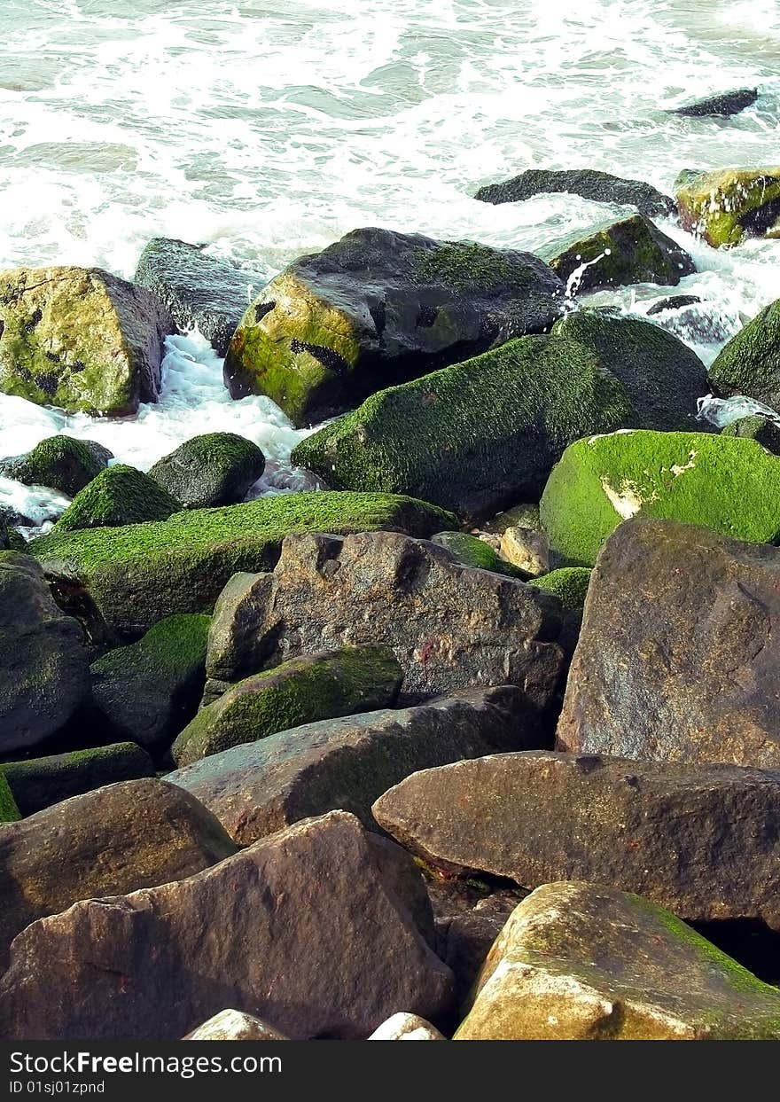 Sea coast with a lot of rocks. Sea coast with a lot of rocks.