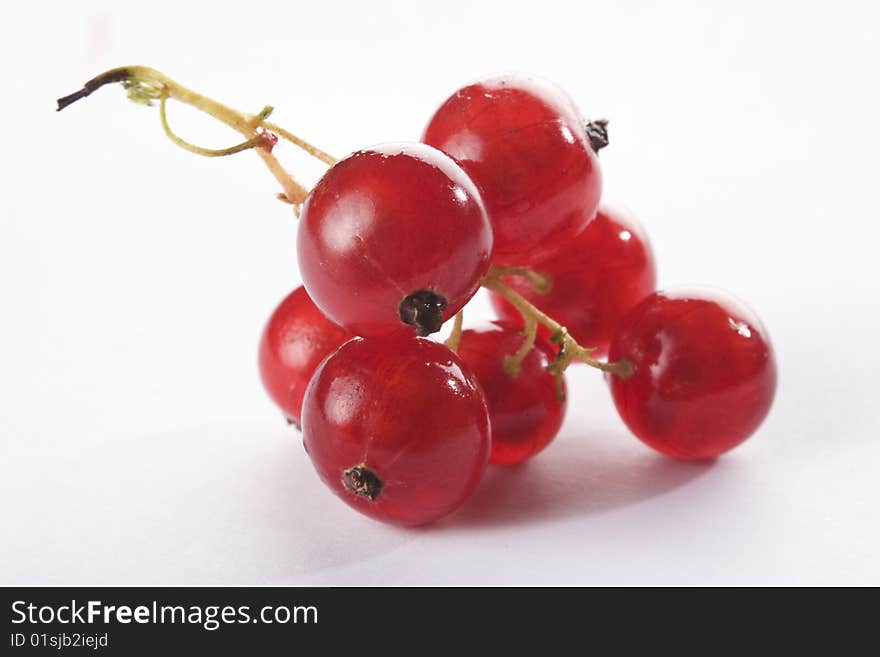 Close up of a red currant on a white background isolated.