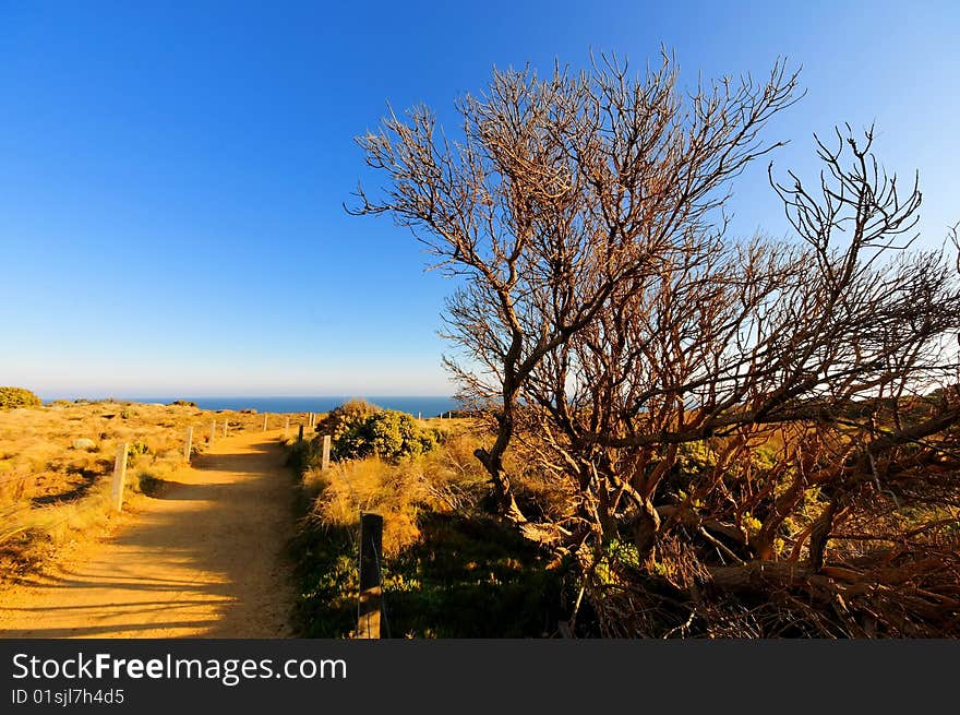 National Park Along Great Ocean Road