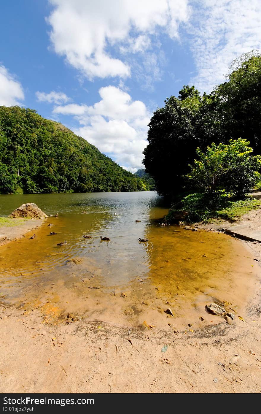 River bank with wild ducks and hills