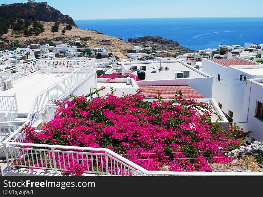 Lindos in Greece and pink flowers on roof of the house. Lindos in Greece and pink flowers on roof of the house