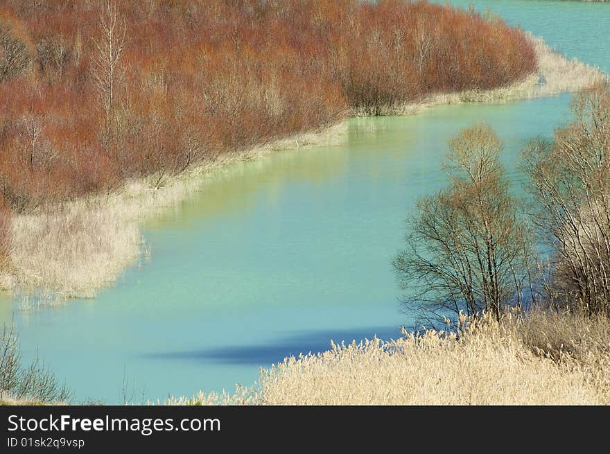 Given a forest beside a lake. Given a forest beside a lake