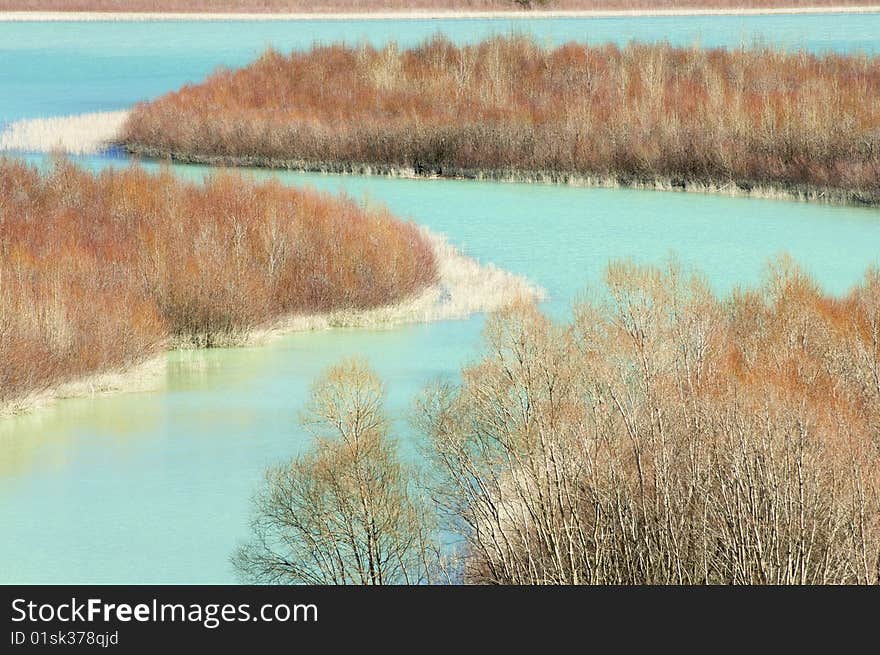 Given a forest beside a lake. Given a forest beside a lake