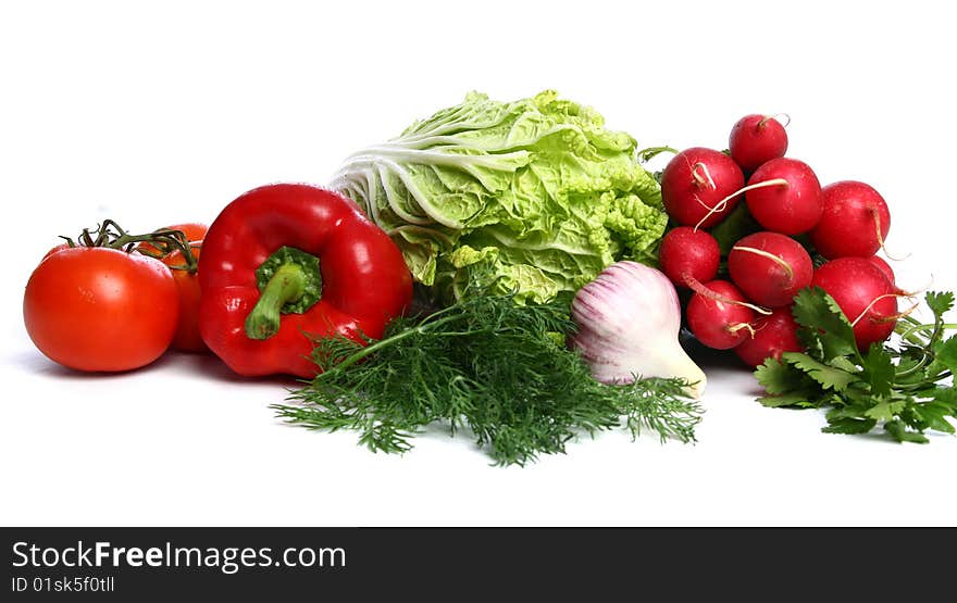 The vegetables - paprika, tomatoes, fennel, garden radish, lettuce and garlic