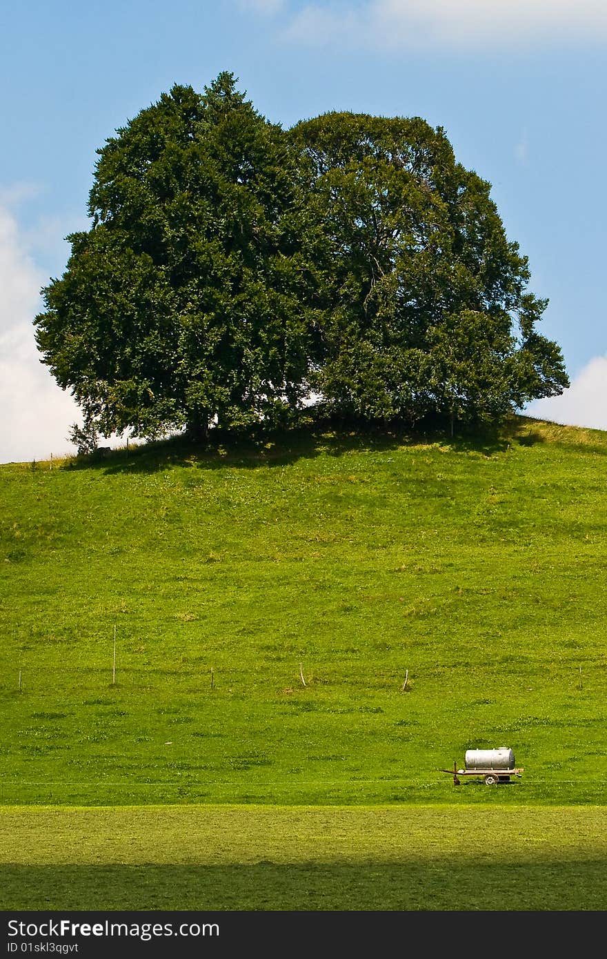 Landscape of grassland with trees and hill