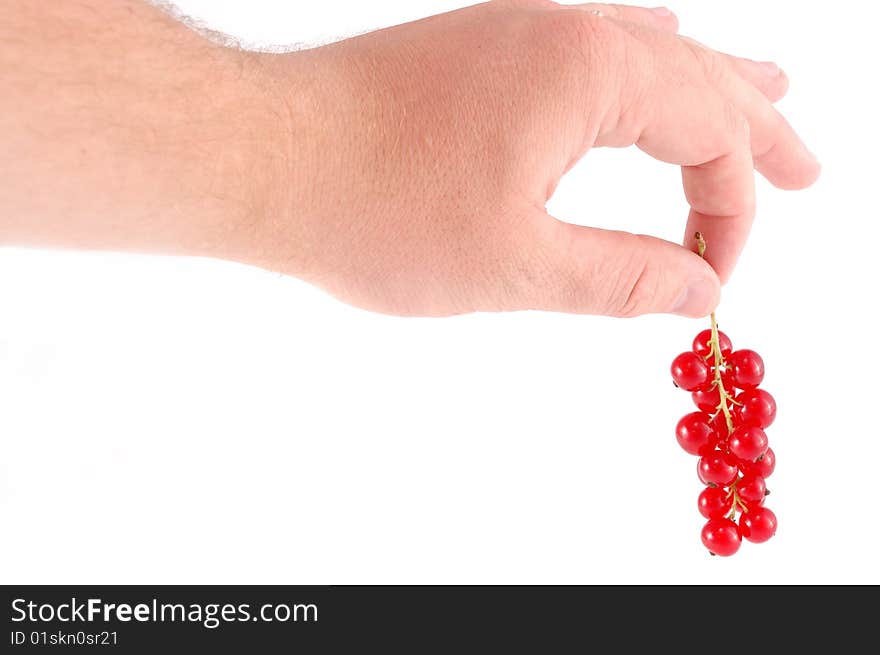 A lot of berries of red currant