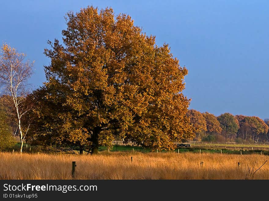 Landscape of a farmland with colorful autumn trees