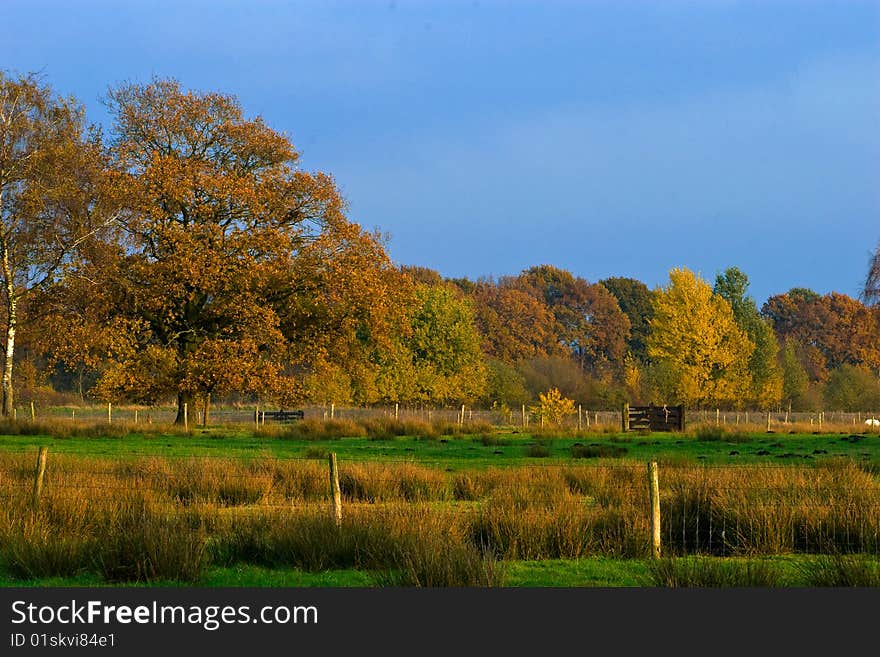 Landscape of a farmland with colorful autumn trees